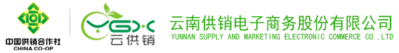 leyu.乐鱼官网电子商务股份有限公司